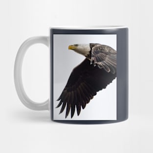 An Adult Bald Eagle In Flight Mug